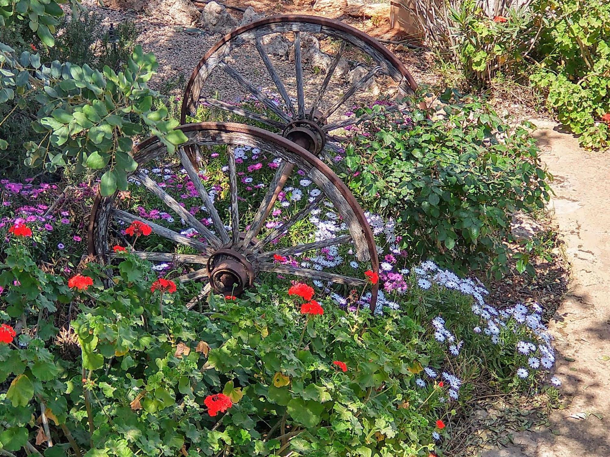 Finca Son Marimon (Adults Only) Santanyí Εξωτερικό φωτογραφία