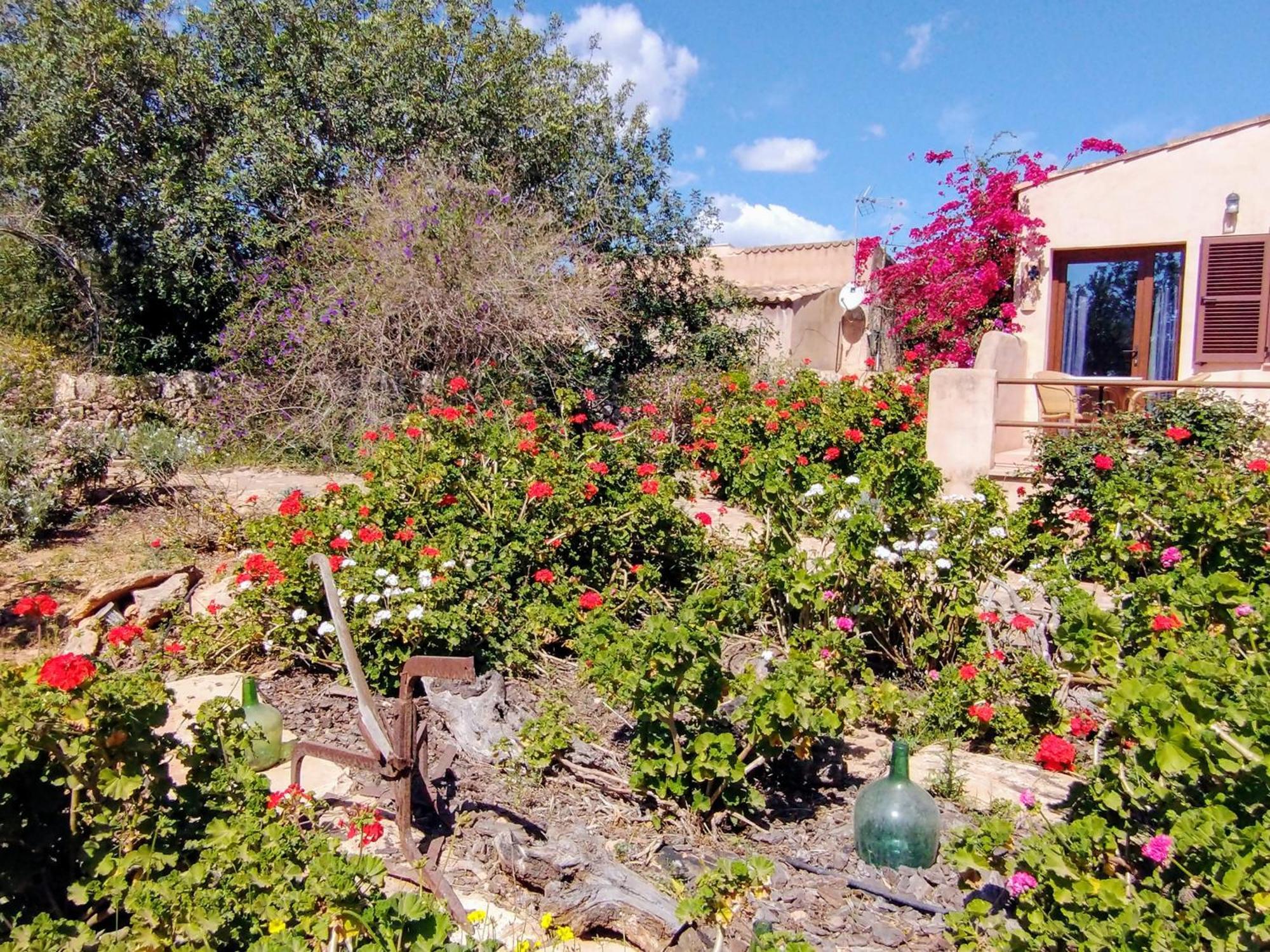 Finca Son Marimon (Adults Only) Santanyí Εξωτερικό φωτογραφία
