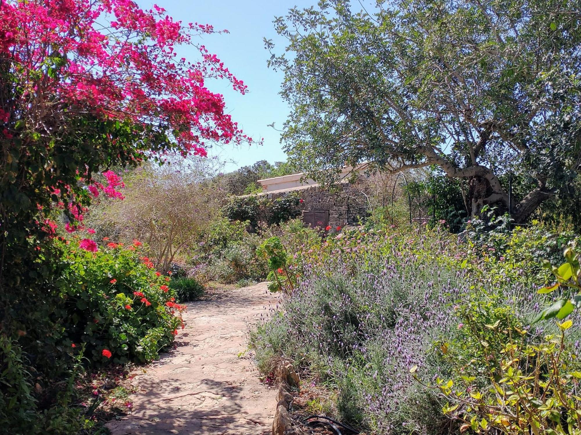 Finca Son Marimon (Adults Only) Santanyí Εξωτερικό φωτογραφία