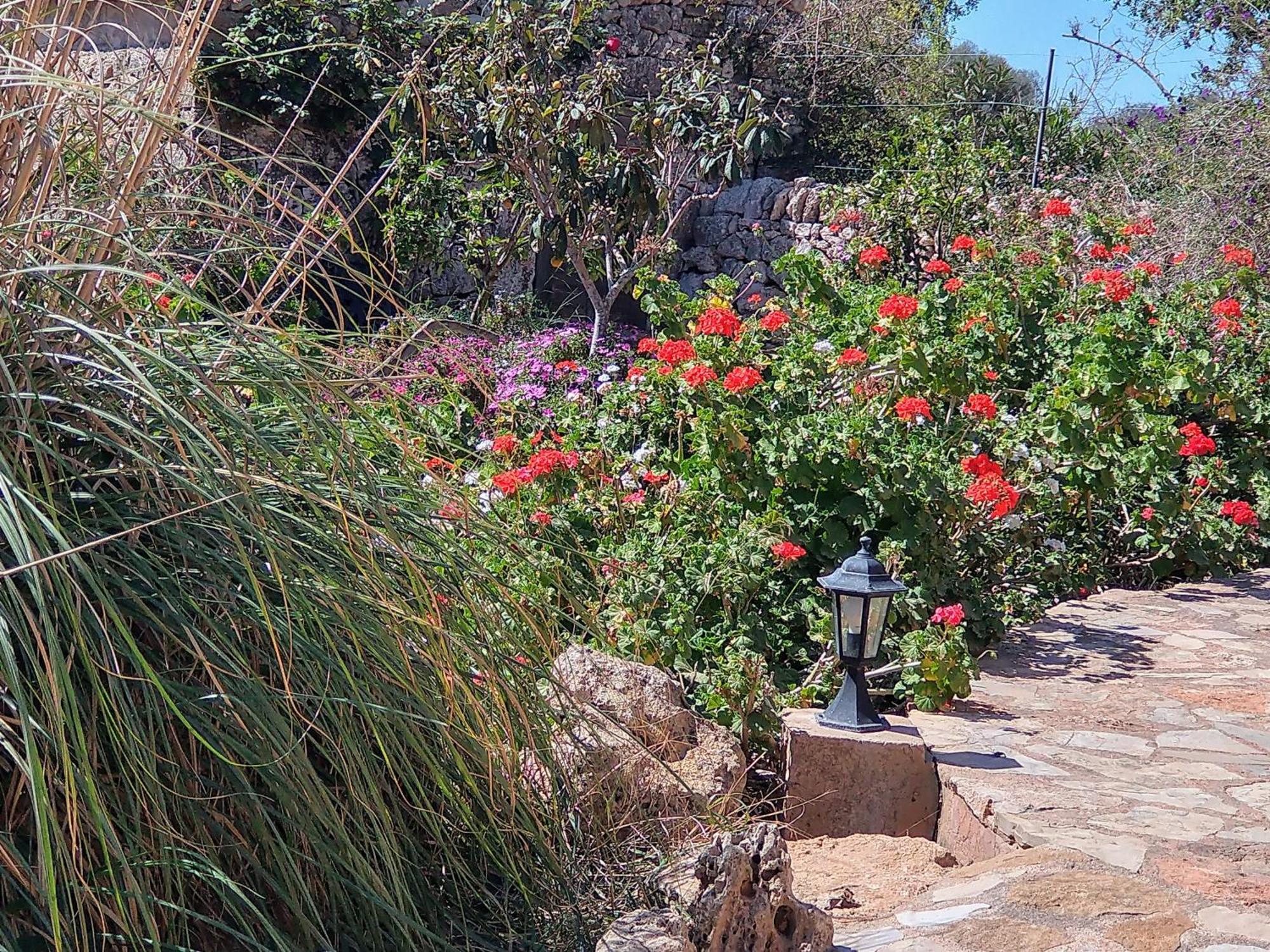 Finca Son Marimon (Adults Only) Santanyí Εξωτερικό φωτογραφία