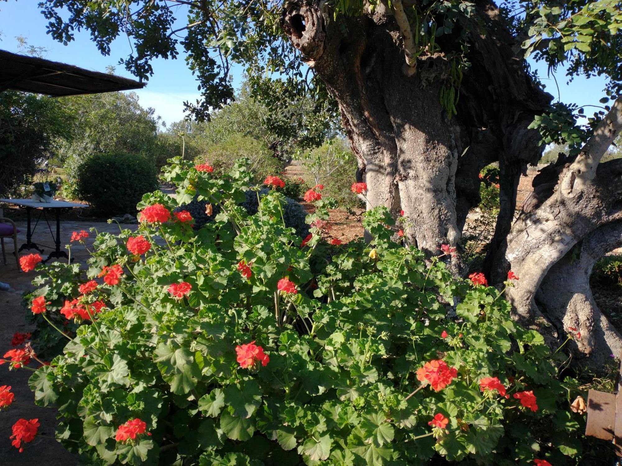 Finca Son Marimon (Adults Only) Santanyí Εξωτερικό φωτογραφία