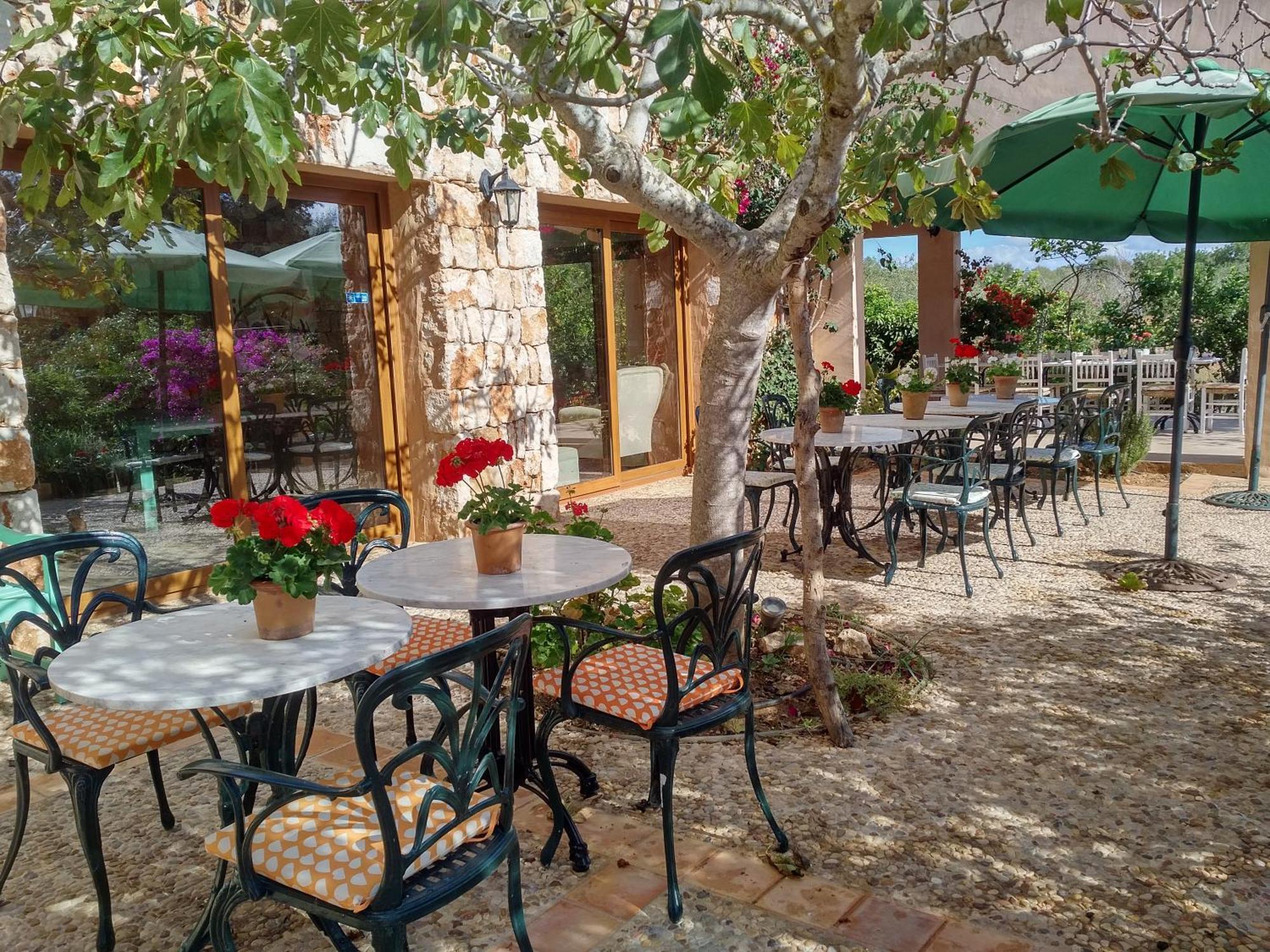 Finca Son Marimon (Adults Only) Santanyí Εξωτερικό φωτογραφία